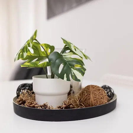 Meloncello House - Bologna