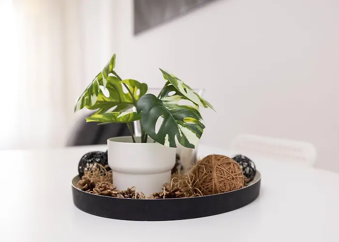 Meloncello House - Bologna